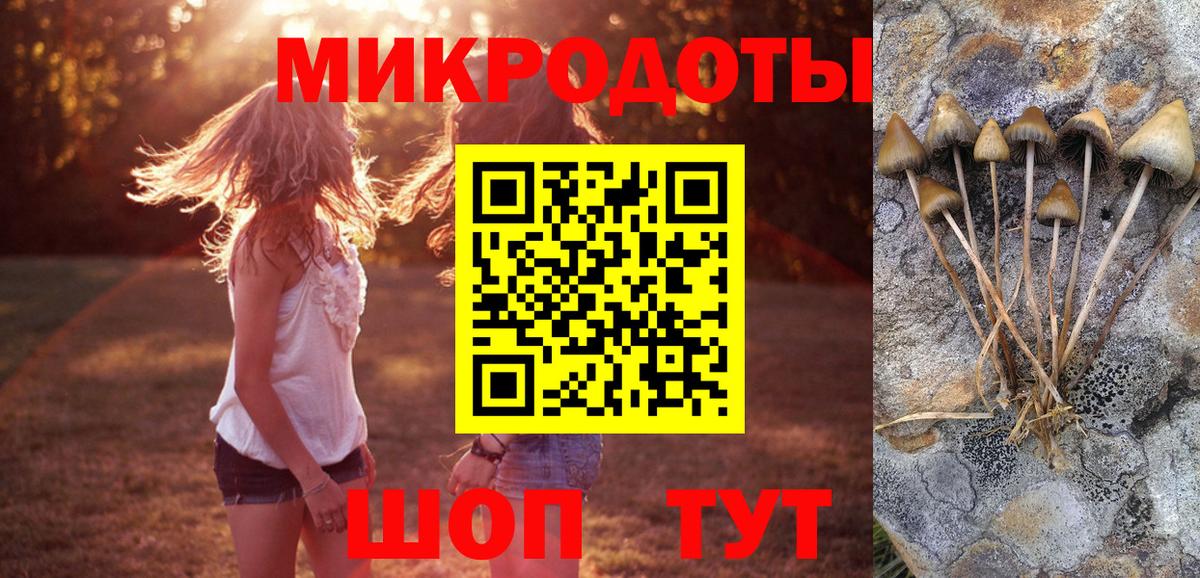 Галлюциногенные грибы Magic Shrooms Нурлат