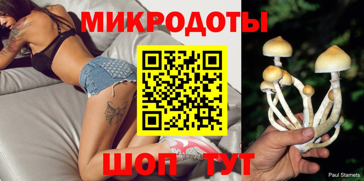 Псилоцибиновые грибы Cubensis  Вход с VPN  Нурлат 